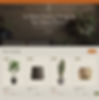 Website template for a plant store eCommerce site